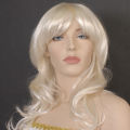 (image for) Fashion Wigs