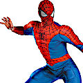 (image for) Spiderman Deluxe Adult Muscle Costume Halloween PLUS Size BC802670XXL