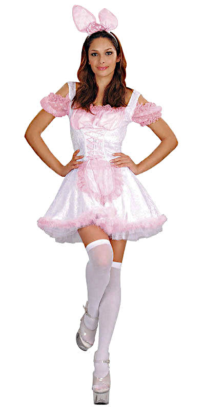 (image for) Sexy Bunny, or Rabbit, Women's Costume dress Halloween LARGE DC2109L