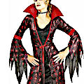 (image for) Spider Queen Halloween Female Adult Costume for Parties MEDIUM - RC57012