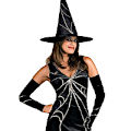 (image for) Spider Web Witch Adult Luxurious Costume for Halloween MEDIUM RC888669STD