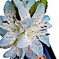 (image for) Party Blue Flower Hairclip Hawaiian Design - 97030-Blue