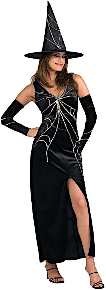 (image for) Spider Web Witch Adult Luxurious Costume for Halloween MEDIUM RC888669STD - Click Image to Close