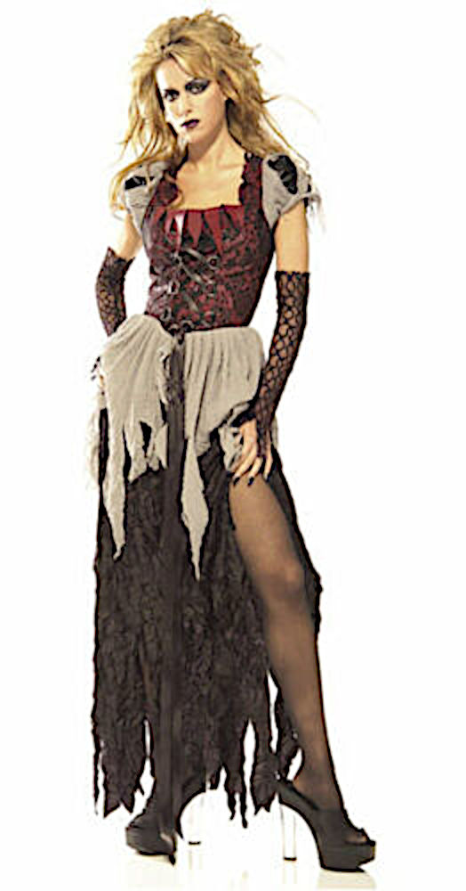 (image for) Sinful, Wild Cinderella Halloween Adult Costume Standard size RC16825STD - Click Image to Close