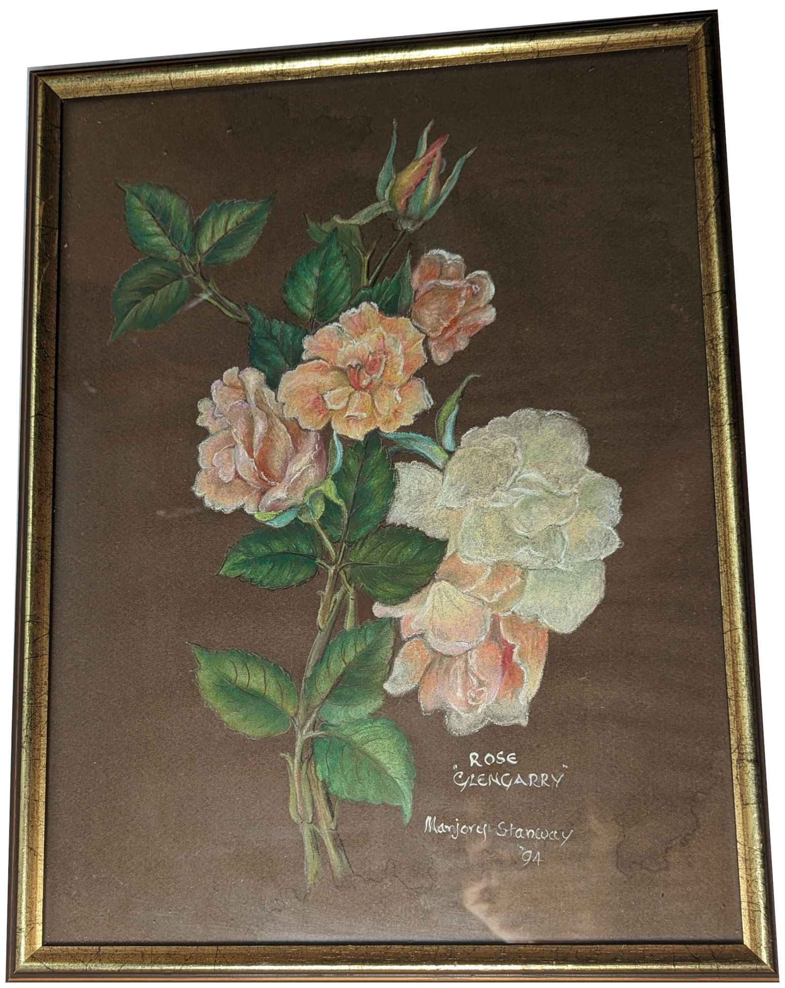 (image for) "Rose Glengarry" FRAMED painting by Marjory Stanway - PNT-0151 - Click Image to Close