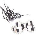 (image for) Jailbird Black & Silver Feather Mask for Parties or Halloween U701