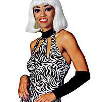 (image for) Wild Female Zebra Print Adult Costume Halloween. Size: Medium RC15837M
