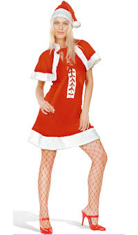 (image for) Sexy Santa Female Adult Costume (Medium) Xmas Christmas -DC2125M