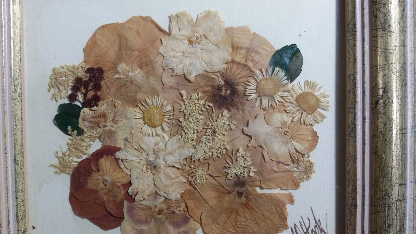 (image for) Framed "Pressed Posies" by Christine Stock - PNT-0142