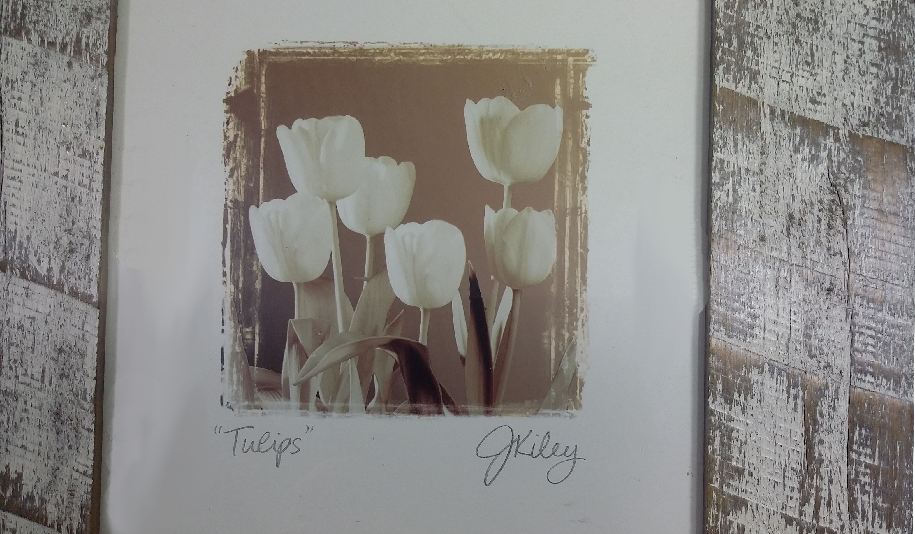 (image for) "Tulips" Print with J.Kiley's Signature - UNFRAMED - PNT-0148-2